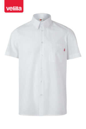 CAMISA MC  (COD.:531)