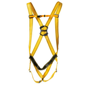 ARNES ANCARES  (COD.:80050)